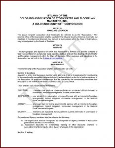 Non Profit Bylaws Template Maryland