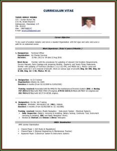 Normal Job Resume Format Pdf