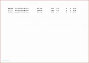Numbered Raffle Ticket Template Excel