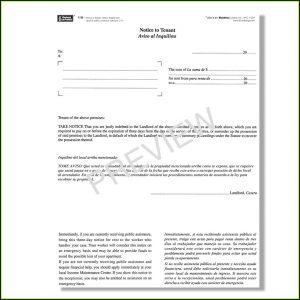 Nys Landlord Eviction Forms