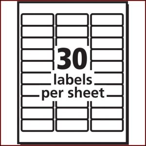Office Depot Address Label Template 612 011