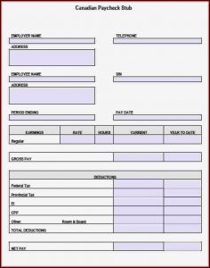 Pay Stub Template Canada