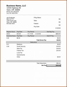 Pay Stub Template Free Microsoft Works