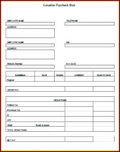 Pay Stubs Templates Free Download