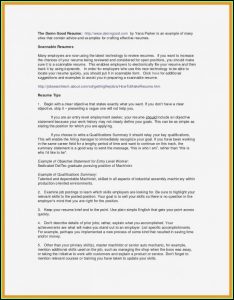 Pilot Resume Service