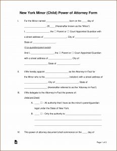 Power Of Attorney Child Guardianship Form