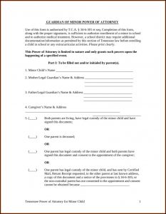 Power Of Attorney Guardianship Form Arizona