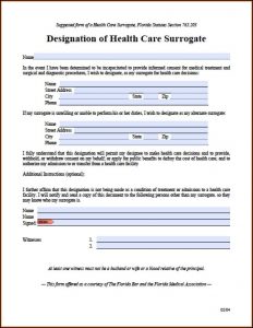 Power Of Attorney Guardianship Form Florida