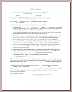 Power Of Attorney Guardianship Form Texas