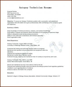 Prenup Forms Free Australia