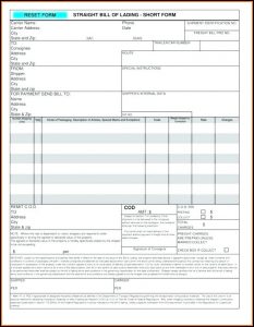 Printable Bill Of Lading Form Ups