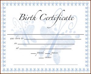 Printable Birth Certificate Form