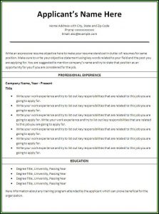 Professional Nursing Resume Templates