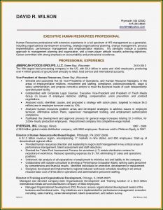 Professional Resume Service Chicago Il