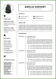 Professional Resume Template Free Download Word