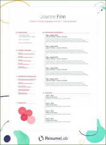 Professional Resume Template Word 2013