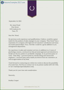 Purchase Professional Resume Templates