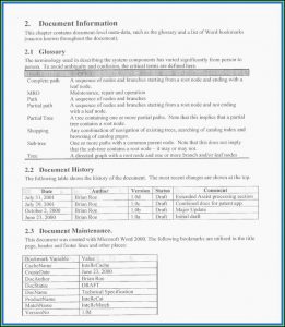 Resume Blank Format Doc