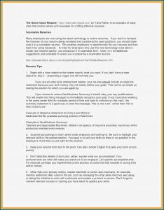 Resume Builder High School