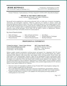 Resume For Federal Jobs Sample