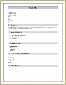 Resume Format Free Download Word File