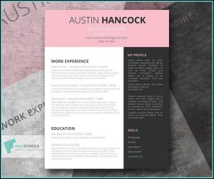 Resume Template Creative Free