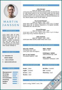 Resume Template Editable In Word