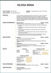 Resume Template For Nurse