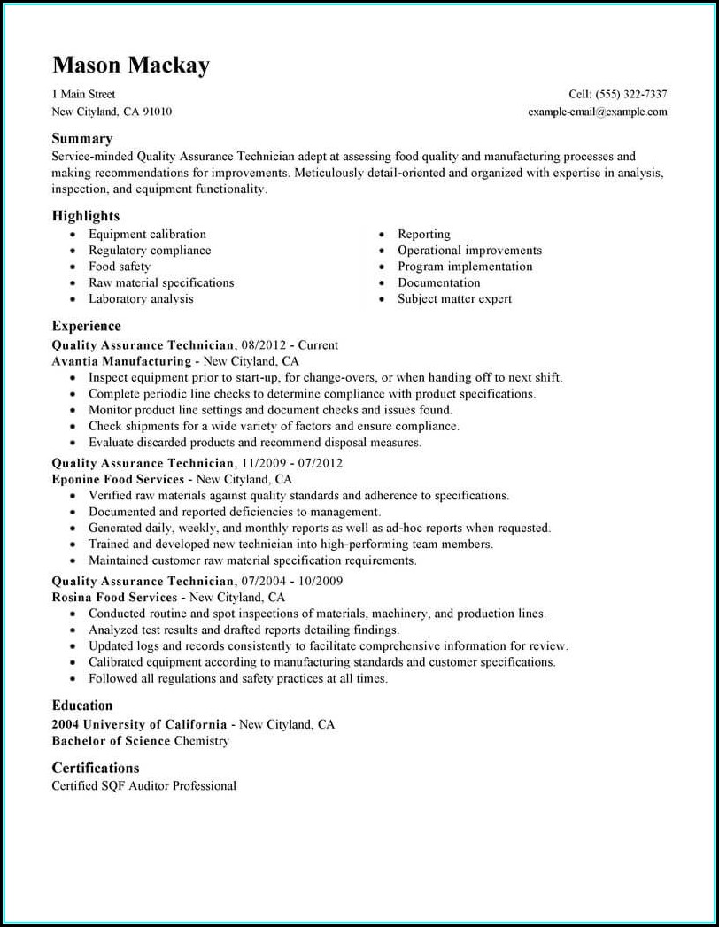Resume Template For Sales Executive