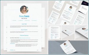 Resume Template Free Wordpress