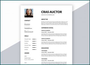 Resume Template Word Free Creative