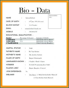 Resume Writing Guidelines Pdf