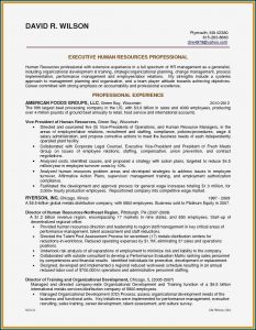 Resume Writing Service Chicago