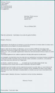 Resumes For Account Executives