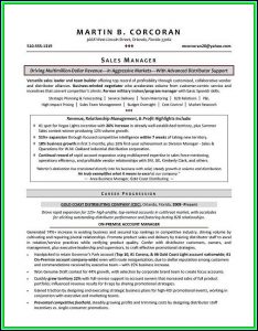 Resumes For Executives Examples