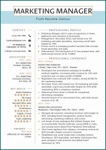 Resumes For Marketing Executives