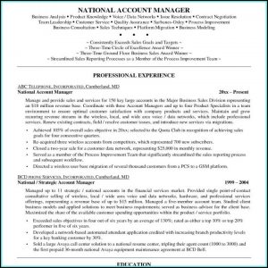 Sample Objective For Project Manager