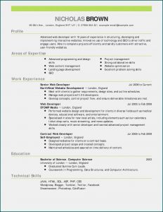 Sample Resume Templates Rn