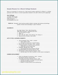 Samples Of Basic Resumes