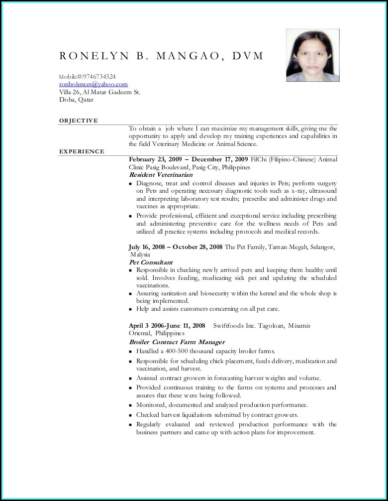 Security Officer Resume Template