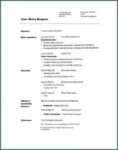 Soft Copy Of Resume Format