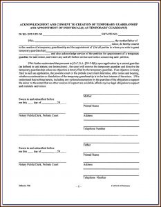 Temporary Guardianship Form Illinois