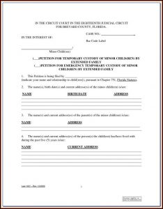 Temporary Guardianship Form Illinois Pdf