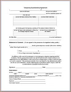 Temporary Guardianship Of A Minor Form Illinois