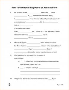 Texas Legal Guardianship Forms Pdf