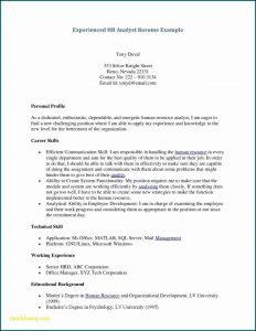 Theatre Resume Builder