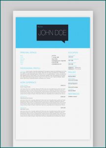 Totally Free Resume Builder And Downloader