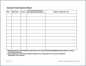 Travel Expense Report Example