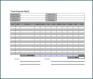 Travel Expense Report Template