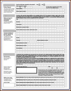 Travel.state.gov Passport Form Ds 82